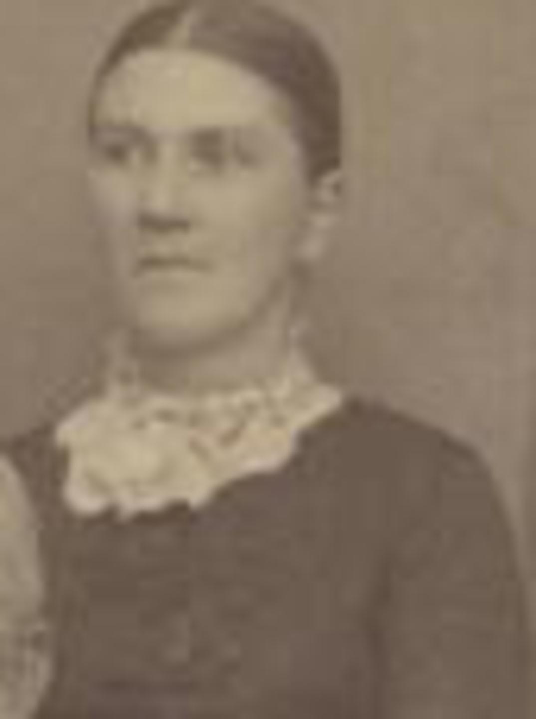 Eliza Lavina Harper (1853 - 1935) Profile